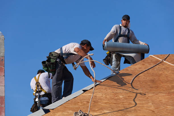 Best Storm Damage Roof Repair  in Mingo Junction, OH