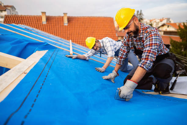 Best Roof Gutter Cleaning  in Mingo Junction, OH